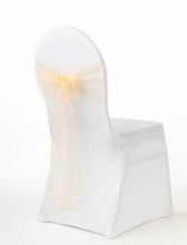 Last inn bildet i Galleri-visningsprogrammet, Sløyfebånd